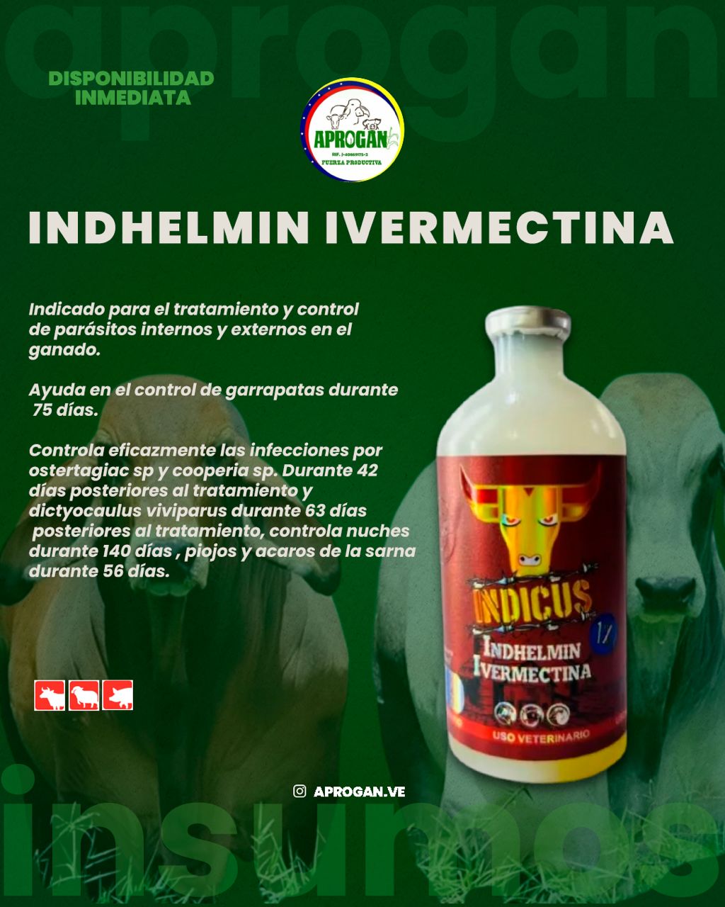 IVERMECTINA 1% INDICUS X 100 ML