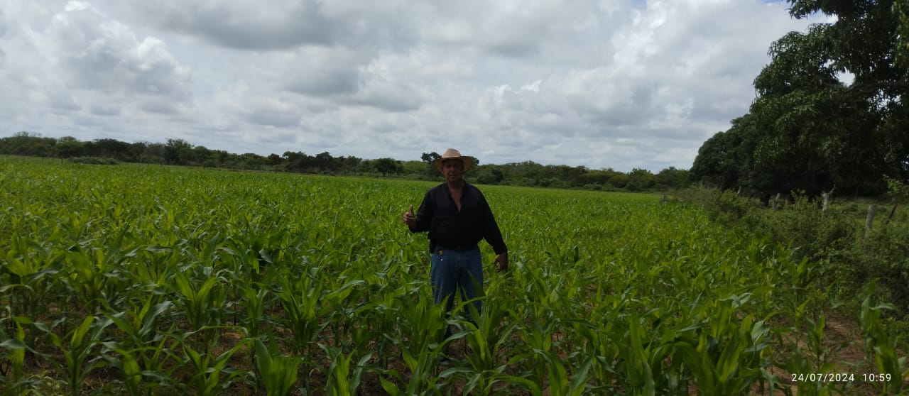 COOPERATIVA AGROVICA