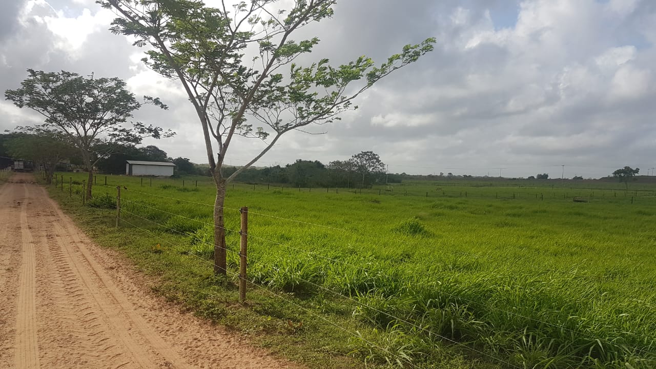 FINCA EL BELTRANERO